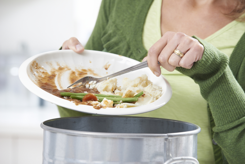 waste removal waste disposal
